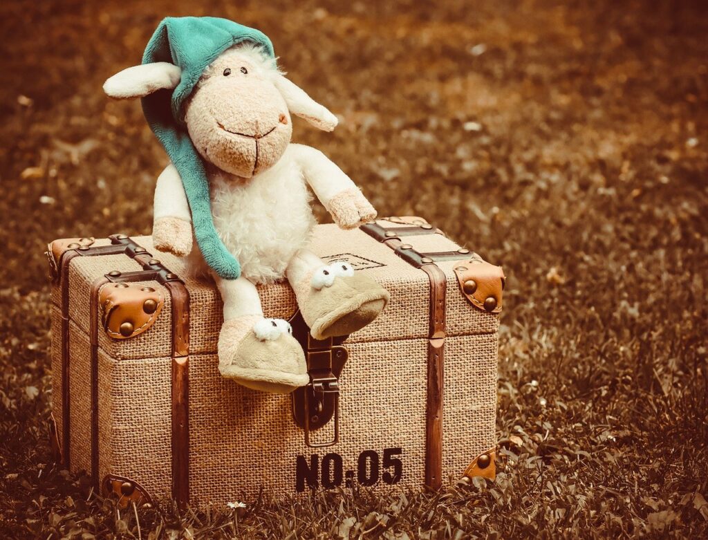 sheep, suitcase, stuffed animal-7303359.jpg